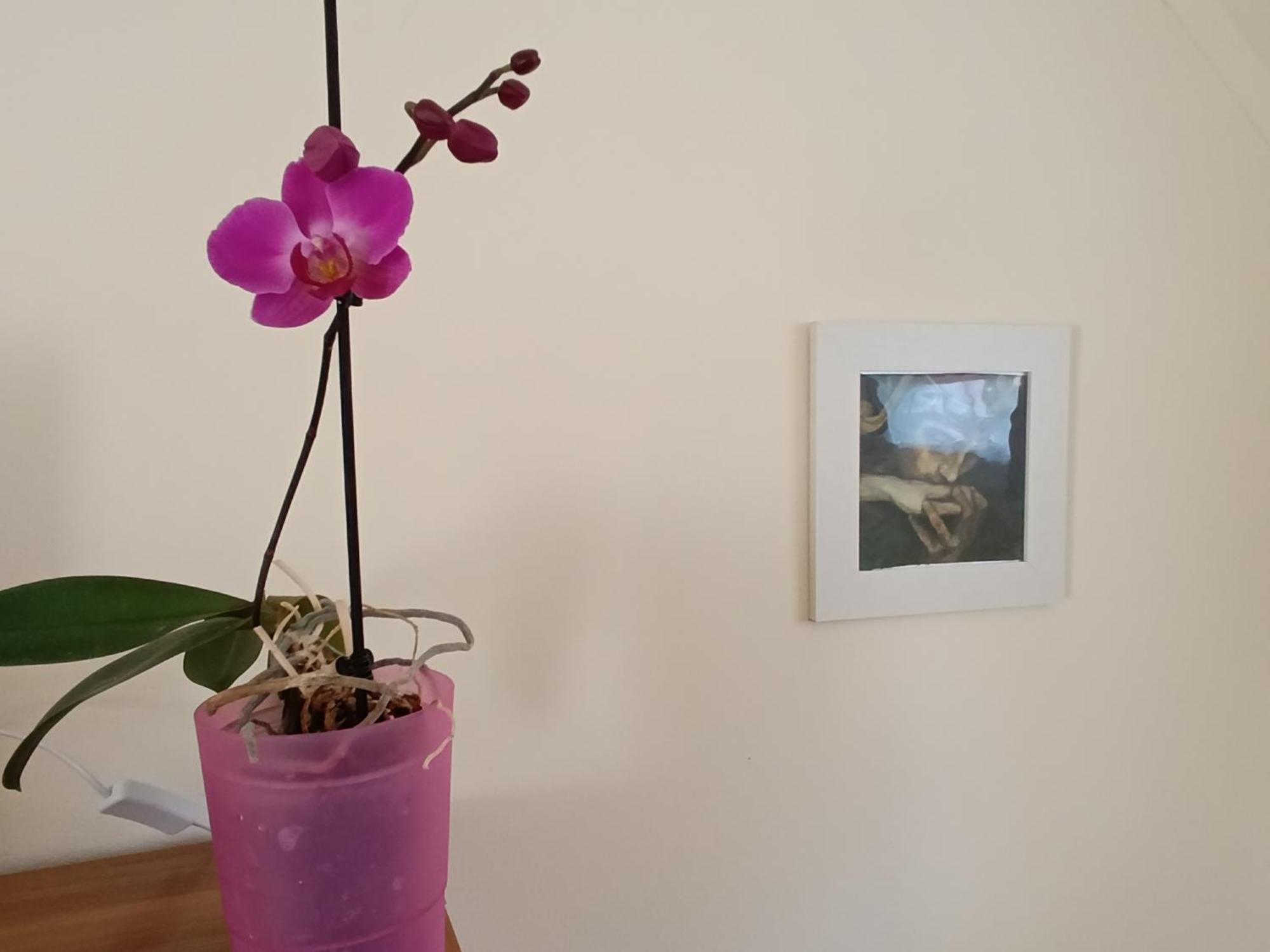 Cehmesterek Apartman Егер Екстериор снимка